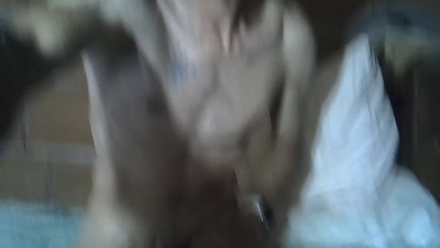 Gicobest from Italy