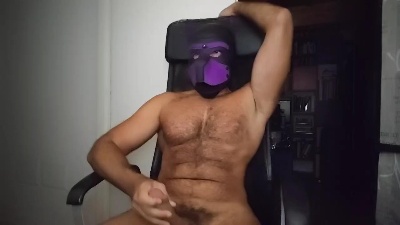 Hairypuppy82 from Italy