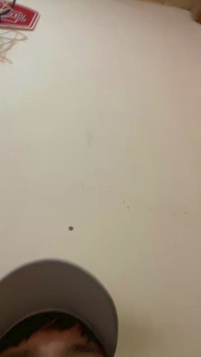 sebvv1 from Chile