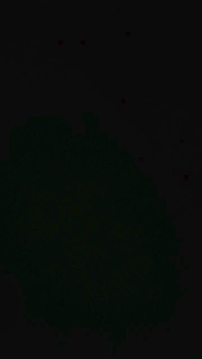 secretsexbuddy6 from United States
