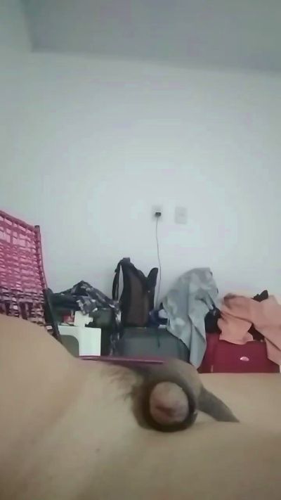 tedy2022 from Brazil